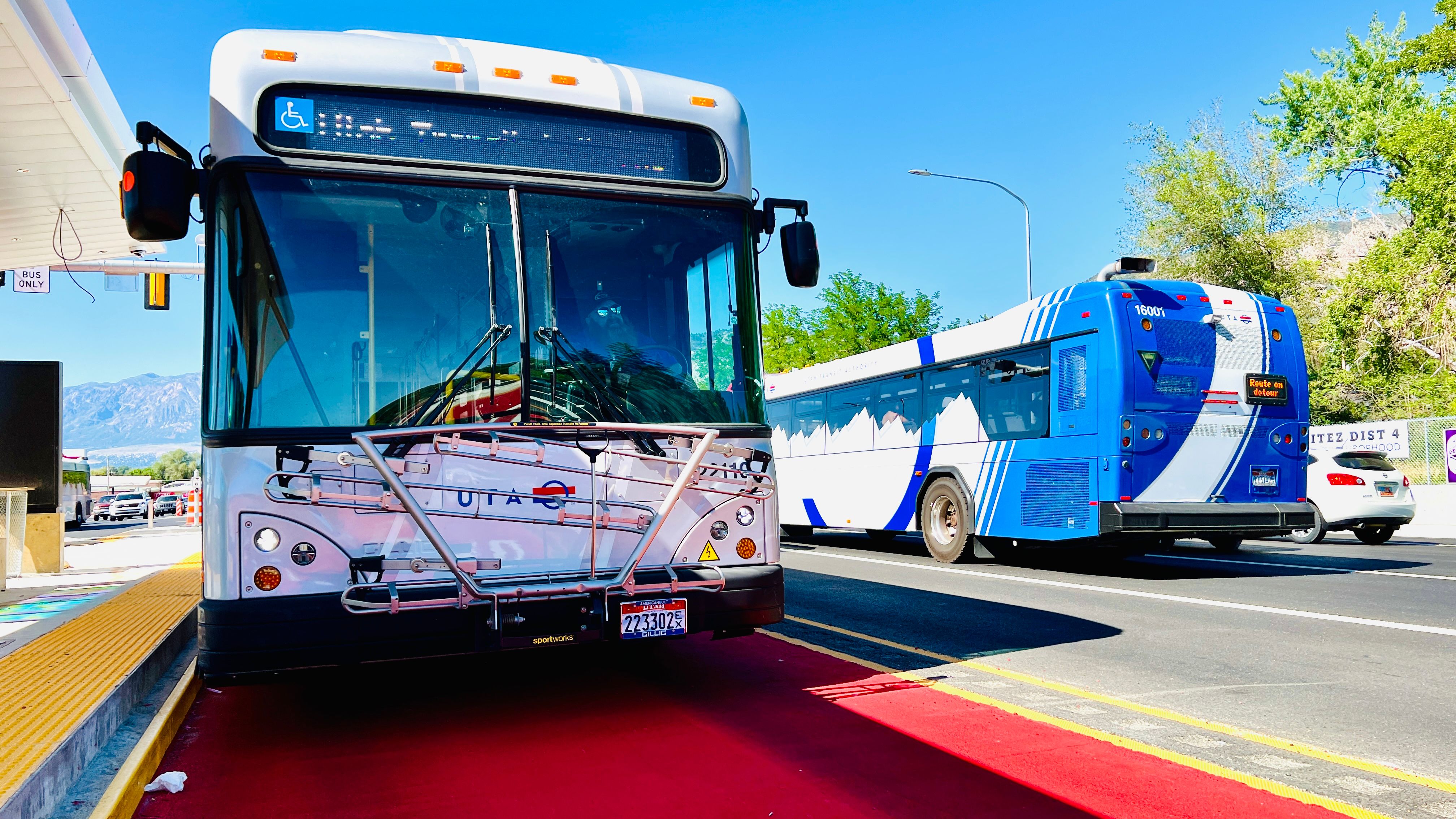 OGX and Regular Bus